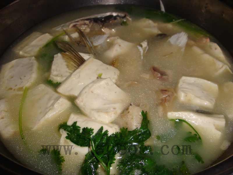 香菜鱼头豆腐汤