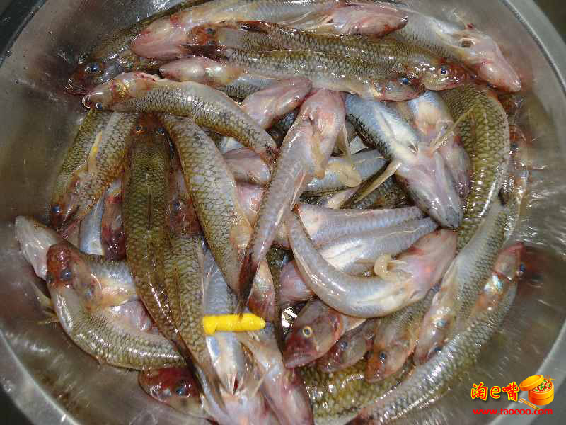 笋壳鱼豆腐芫茜汤